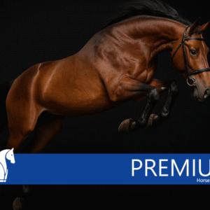 Premium