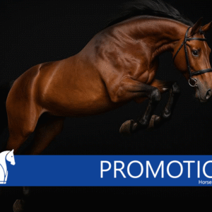 Promotion 1 day